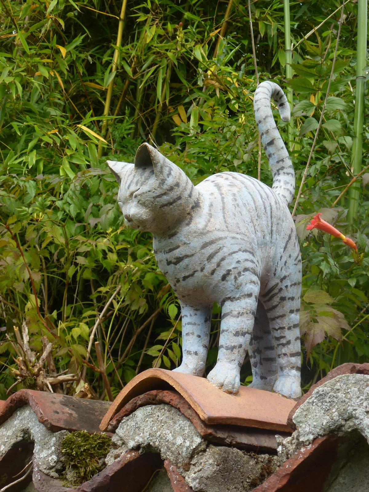 Chat en tuile faitière