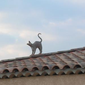 Tuile : chat debout